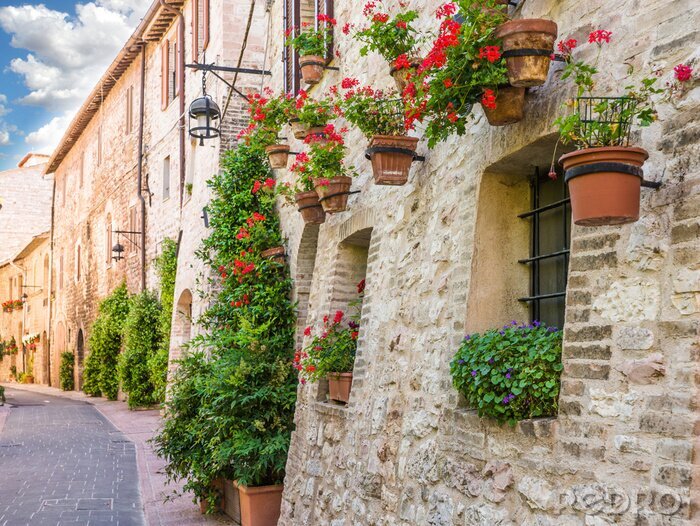 Bild Romantische Gasse mit Blumen