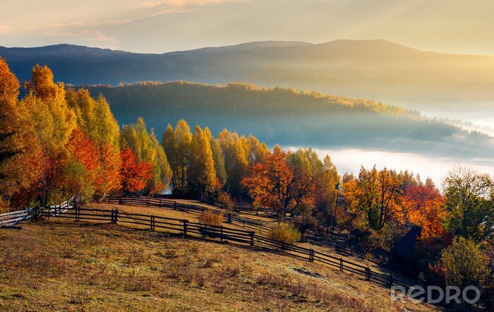 Bild Romantische Herbstlandschaft