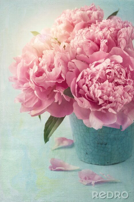 Bild Rosa Blumen in Topf