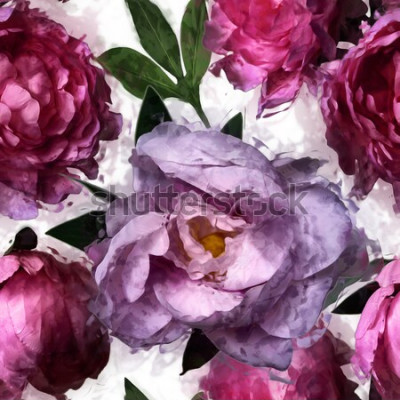 Bild Rosa Pfingstrosenblüten