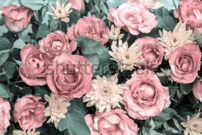 Bild Rosa Rosen im Vintage-Stil
