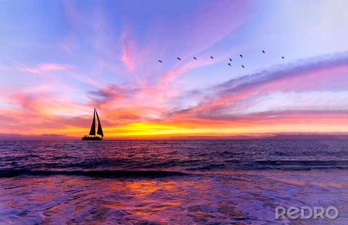 Bild Rosa Sonnenuntergang und Segelboot