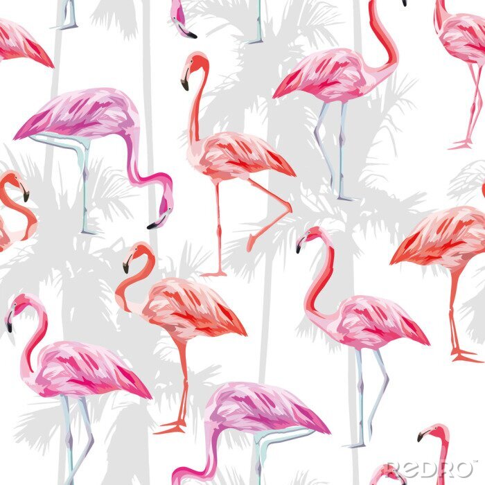 Bild Rosa und orangefarbenen Flamingos