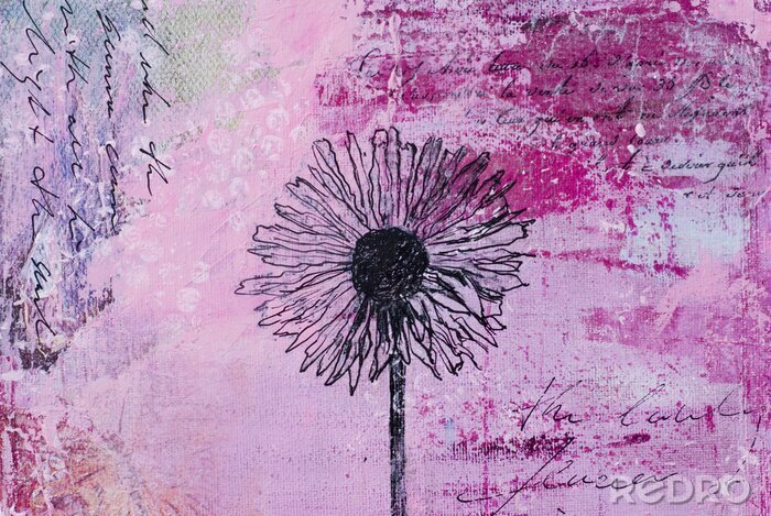 Bild Rosa Wand und Pusteblume