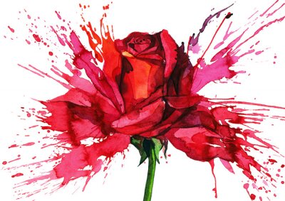Rose abstrakte Zeichnung mit Aquarellfarben