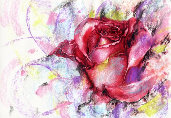 Bild Rose auf farbigem Hintergrund gemalt
