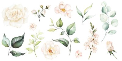 Rosen weiss Knospen und Blumen in Aquarell