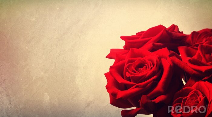 Bild Rosenstrauß auf dunklem Hintergrund