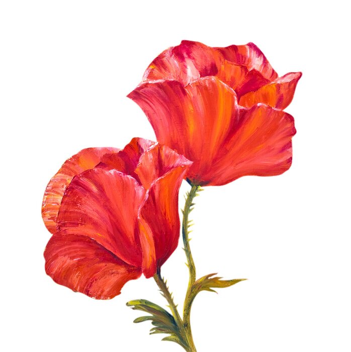 Bild Rote Blumen auf hellem Hintergrund