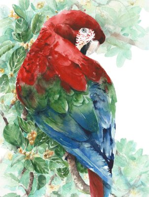 Roter grün-blauer Vogel des Papageien Macaw, der auf der Baumaquarell-Malereiillustration lokalisiert auf weißem Hintergrund sitzt
