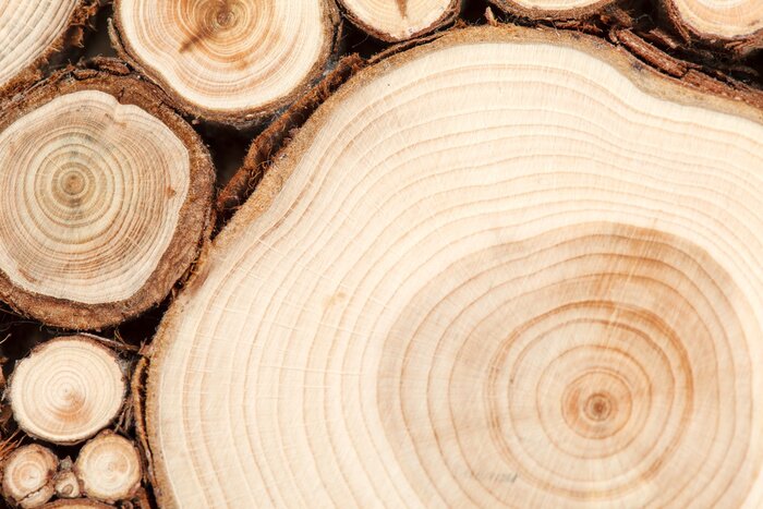 Bild Rustikale Komposition aus gesägtem Holz