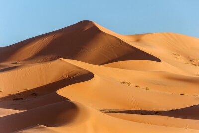 Bild Sahara Wüsten-Landschaft