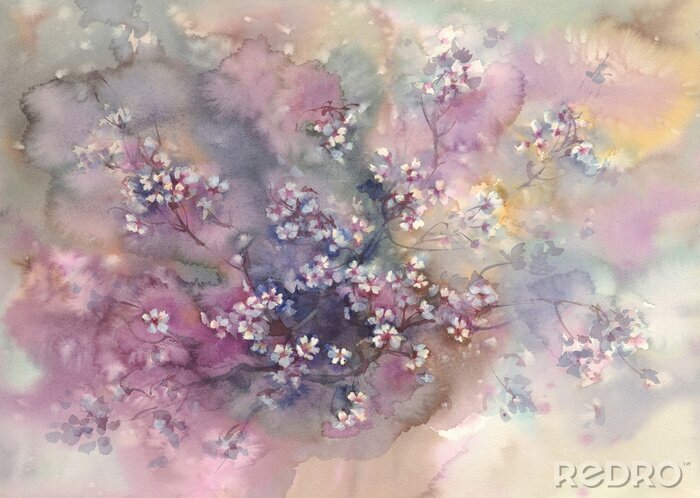 Bild sakura in bloom watercolor background