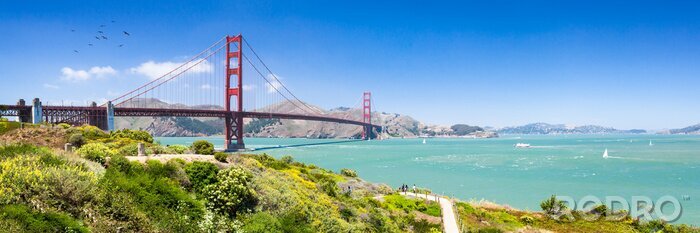 Bild San Francisco Golden Gate in der Landschaft