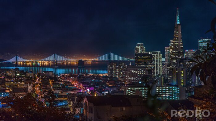 Bild San Francisco Nacht-Panorama