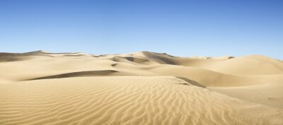 Bild Sandige Wüste
