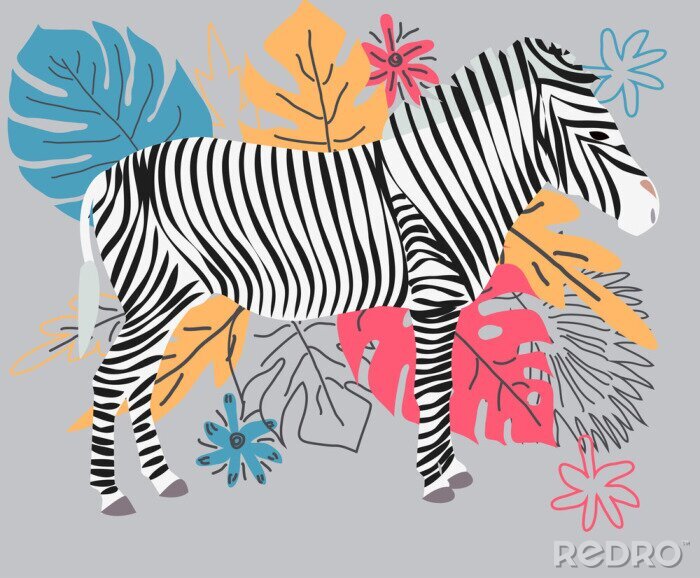 Bild Scandi-Zebra