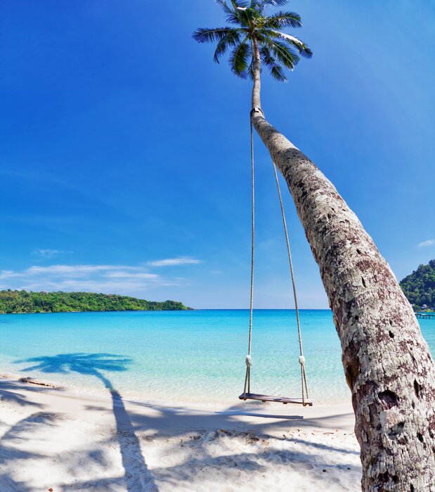 Bild Schaukel am Meer