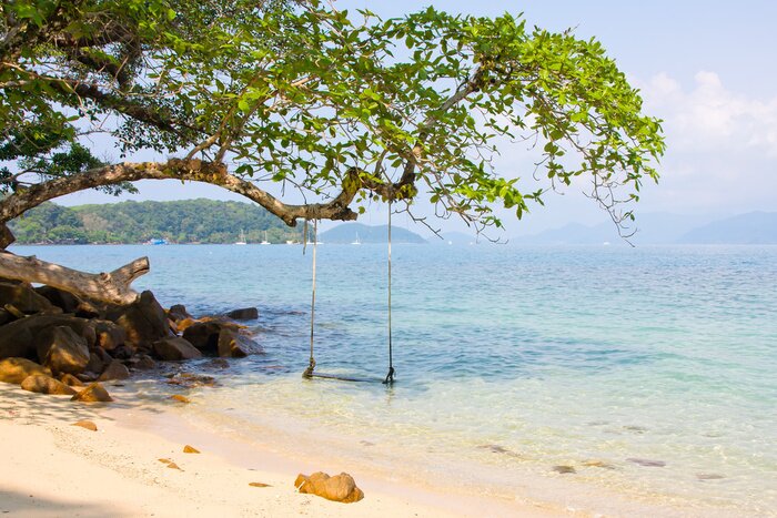 Bild Schaukel am Strand am Meer