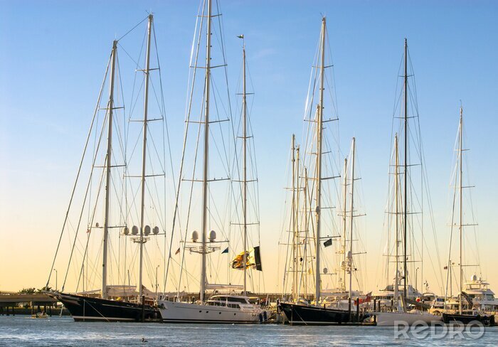 Bild Schiffe aus aller Welt