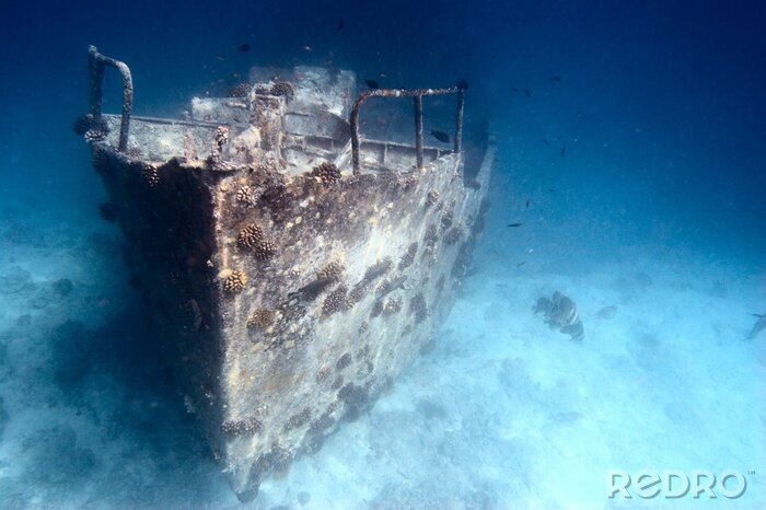 Bild Schiffswrack unter Wasser