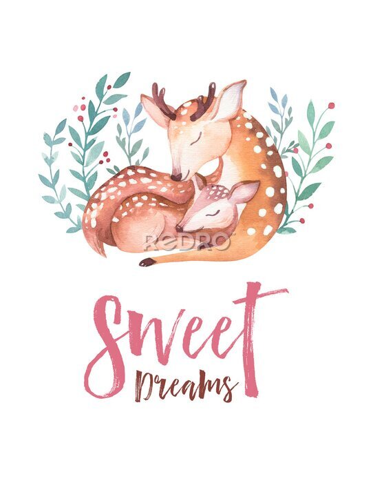 Bild Schlafender Aquarellhirsch