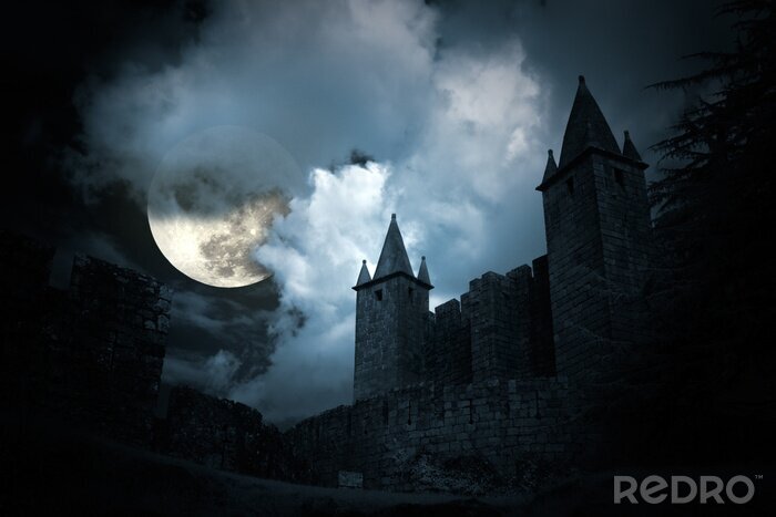Bild Schloss bei Nacht und Mond