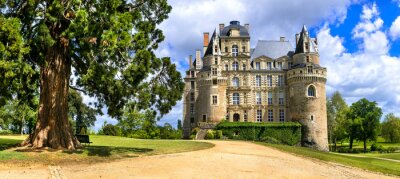 Bild Schloss in Loire Valley