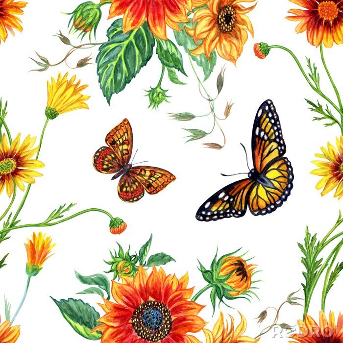 Bild Schmetterlinge inmitten von Sonnenblumen