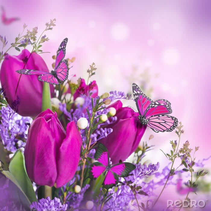 Bild Schmetterlinge und Blumen