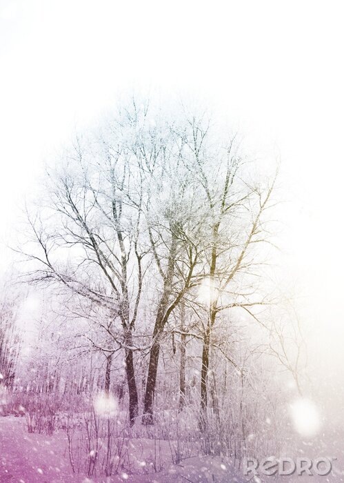 Bild Schneebedeckte Bäume in bunter Ästhetik