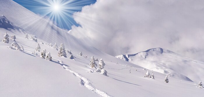 Bild Schneebedeckte Felder