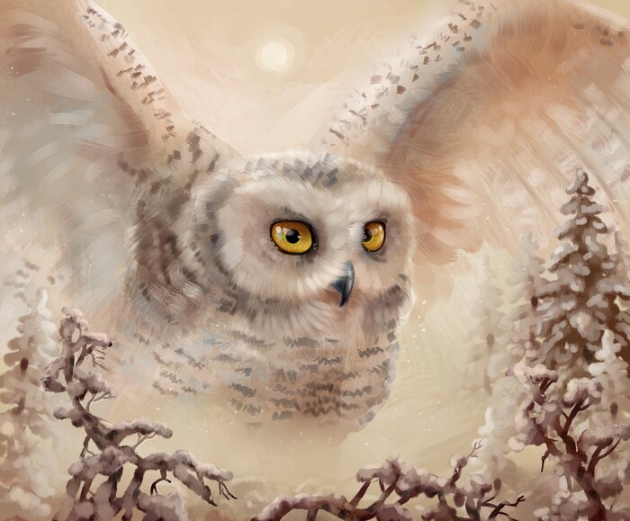 Bild Schneeeule im Winterwald