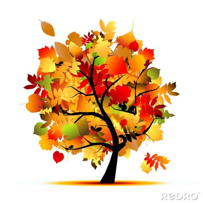 Bild Schöne Herbst Baum für Ihr Design