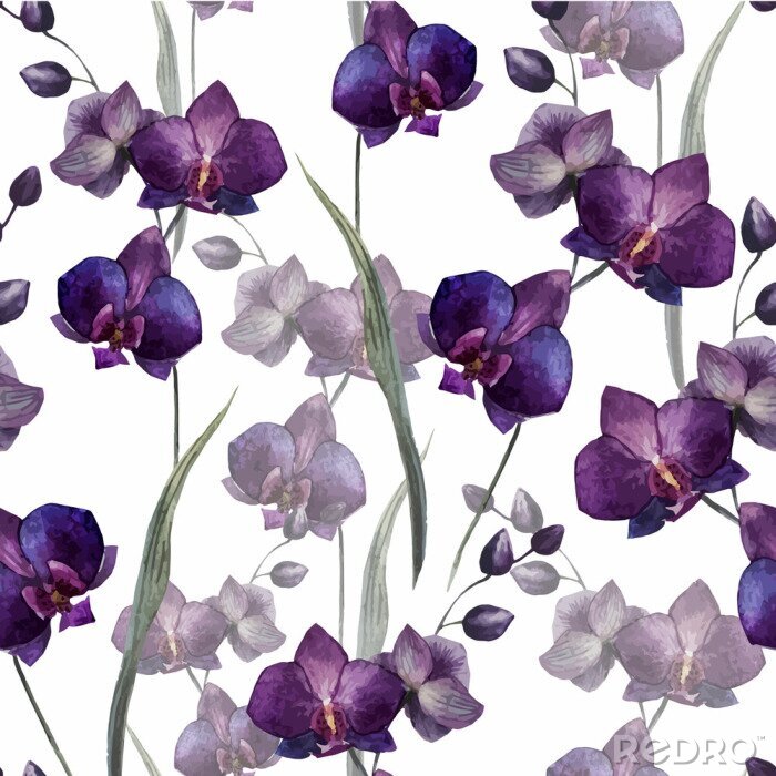 Bild Schöne Orchidee flower4