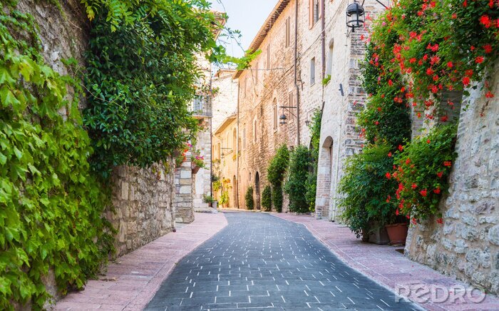 Bild Schöne Straße mit Flora