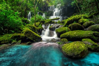 Bild Schönen Wasserfall im grünen Wald im Dschungel