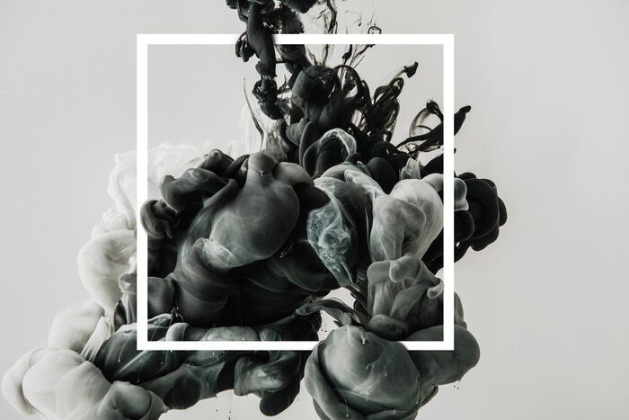 Bild Schöner schwarz-weißer Blumenstrauß