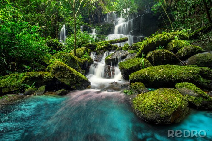 Bild Schöner Wasserfall im Dschungel