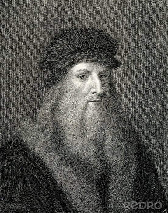 Bild Schwarz-weiß Leonardo da Vinci