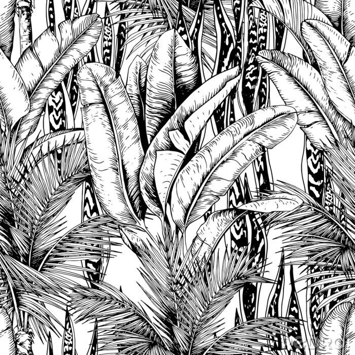 Bild Schwarz-weiße Blätter aus den Tropen