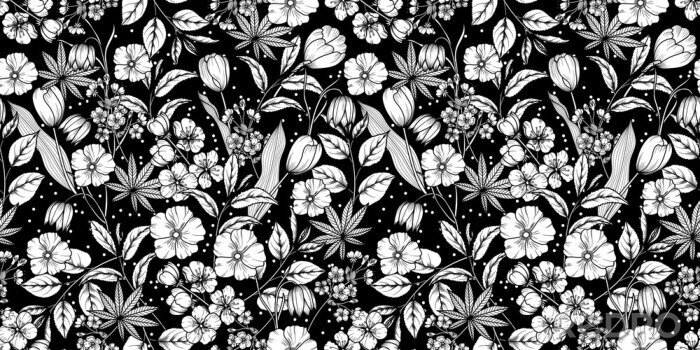 Bild Schwarz-weiße Blumen auf einer Waldwiese