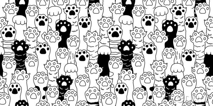 Bild Schwarz-weiße Katzenpfoten