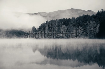 Bild Schwarz-weiße Landschaft mit See