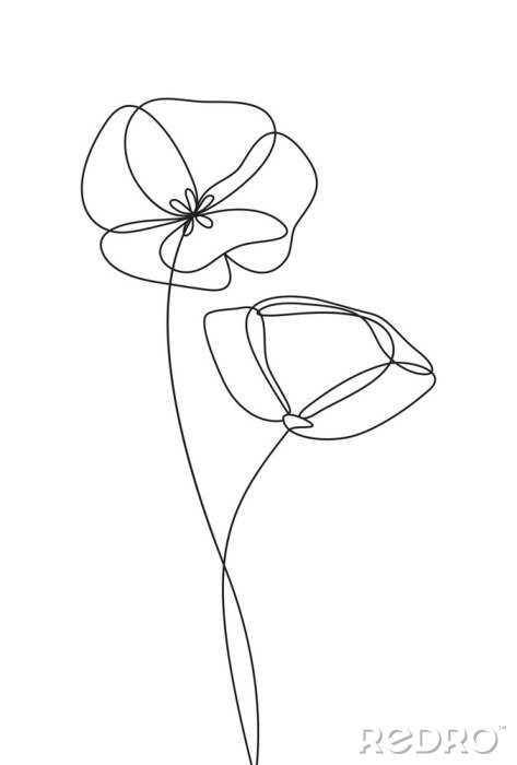 Bild Schwarz-weiße Mohnblumen