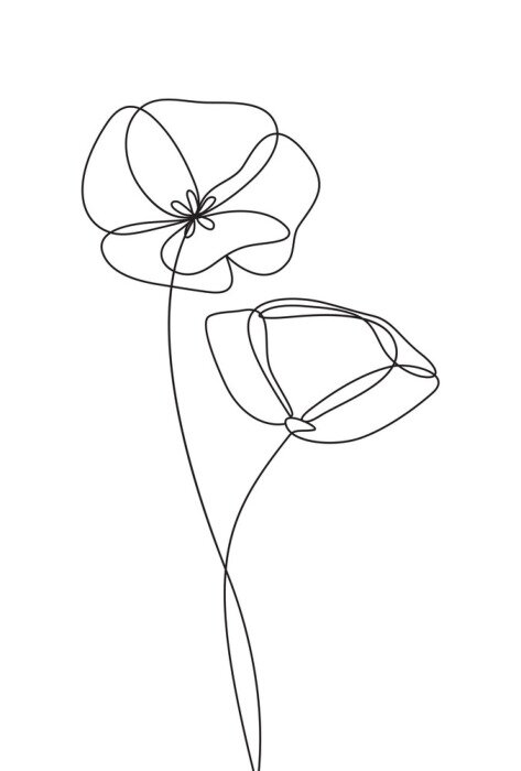 Bild Schwarz-weiße Mohnblumen