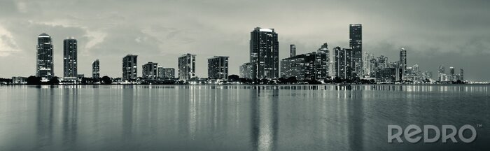 Bild Schwarz-weiße Skyline von Miami