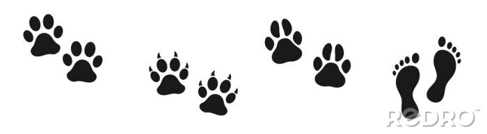 Bild Schwarz-weiße Tier- und Menschenspuren