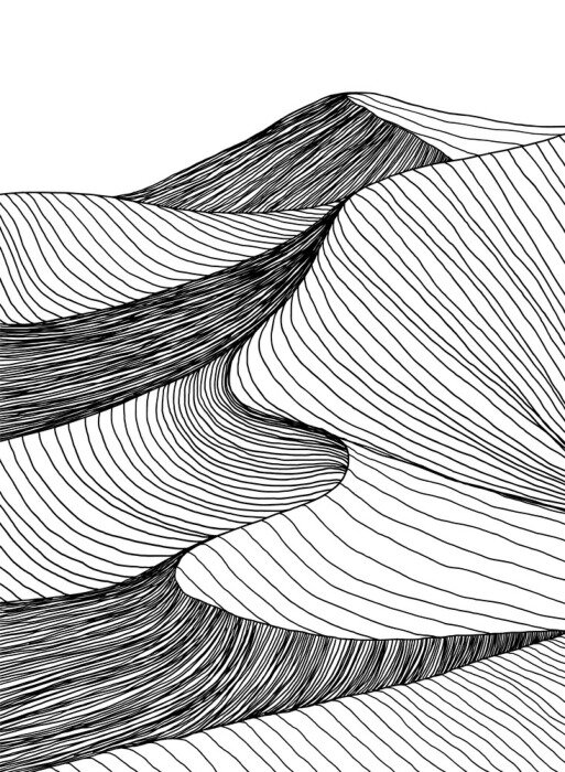 Bild Schwarz-weiße Wüstenzeichnung