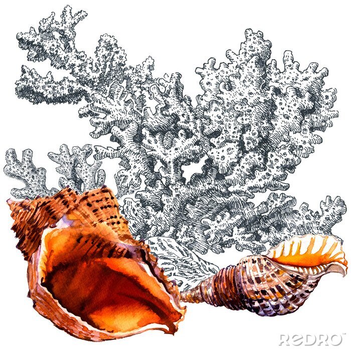 Bild Schwarz-weißes Korallenriff mit orangefarbenem Element